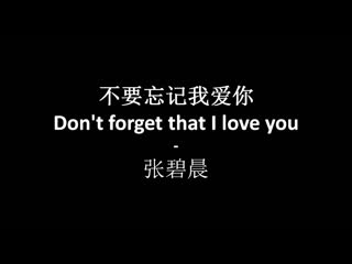 [ chinese song ] -bu yao wang ji wo ai ni (lyric - pinyin - engsub)